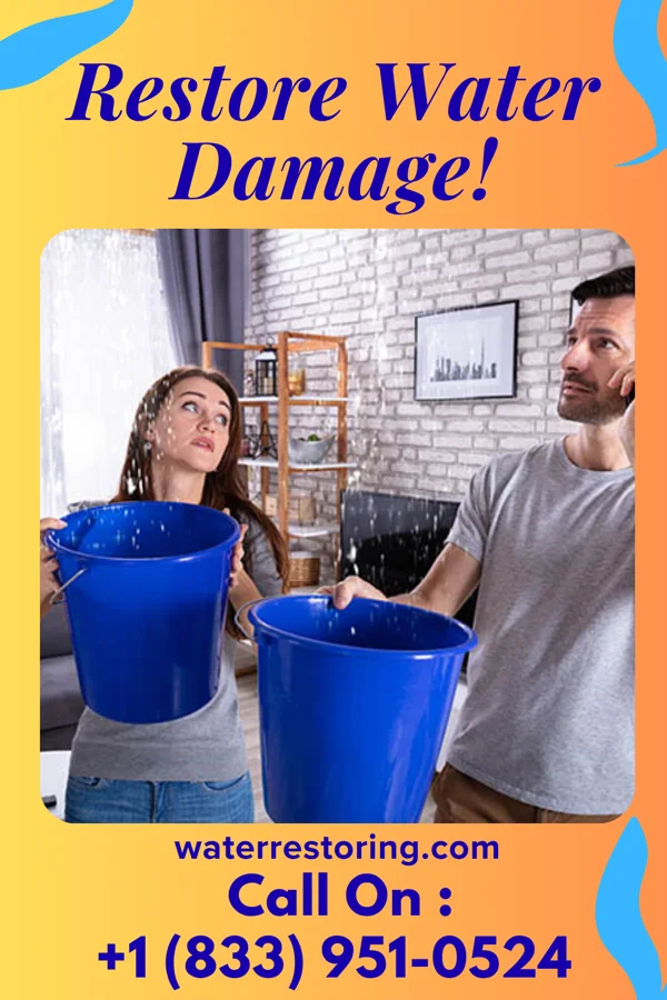 water restoration Stellar Water Removal Professionals Warren Park