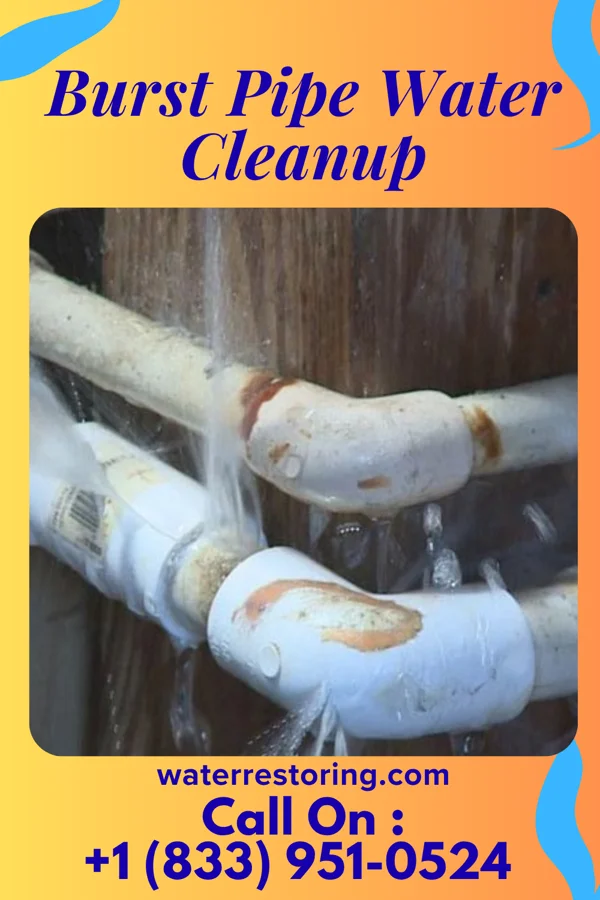 Burst Pipe Water Cleanup in Warren Park, IN